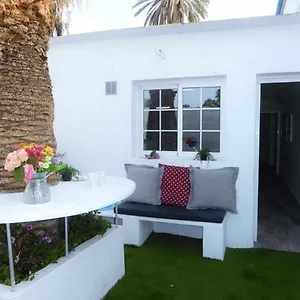 Lola , Corralejo Spagna